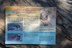 sign maligne canyon 3301 6sep19