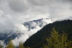 mountain mist pemberton 3618 8sep19