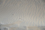 ripples sand virginia beach 7776 5dec19