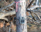 trail camera farm 7968 21dec19