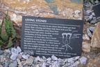 living stones 24dec15