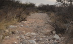 Kartchner Caverns