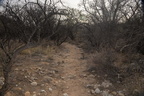 dried creek 2435 kartchner 21dec18