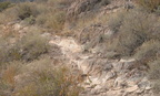 trail from kartchner cavern 2467 21dec18