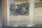 owl sign cb smith park 6256 21oct19