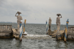 vizcaya 5735 19oct19
