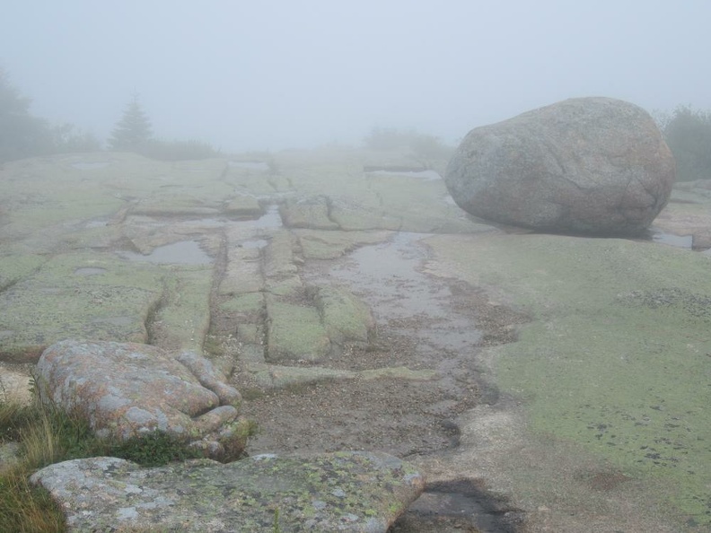 erratic_acadia.jpg