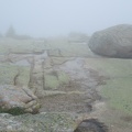 erratic acadia