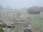 erratic acadia
