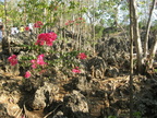 enchanted cave bolinao pangasinan 2083 12apr10