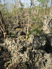 enchanted cave bolinao pangasinan 2085 12apr10