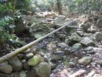 water pipe mount makiling 1215 1apr10