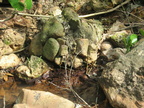 pipe mount makiling 1231 1apr10