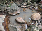 pool hot water mount makiling 1225 1apr10