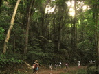 mount makiling 1240 1apr10c