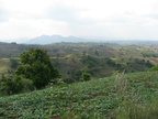 alphonso cavite 1308 2apr10