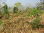 base mount arayat pampanga 1471 4apr10