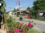 tamaro bayambang 1431 4apr10