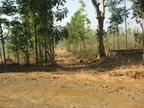 trailhead mount arayat pampanga 1462 4apr10