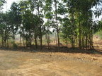 trailhead mount arayat pampanga 1463 4apr10