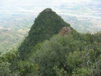 unknown plant descent mount arayat pampanga 1519 4apr10