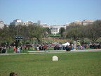 white house 0093 4apr09