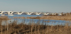 wilson bridge dyke marsh washington dc 2401 10jan21