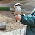 baltimore zoo 010 8 10apr04