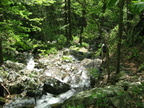 little devils stair 2224 17may08