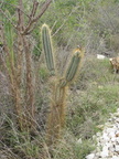 guanica puerto rico 3340 20may11