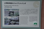 ueno park 7jun16j