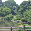 shinjuku park 8jun16ab