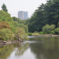 shinjuku park 8jun16ac