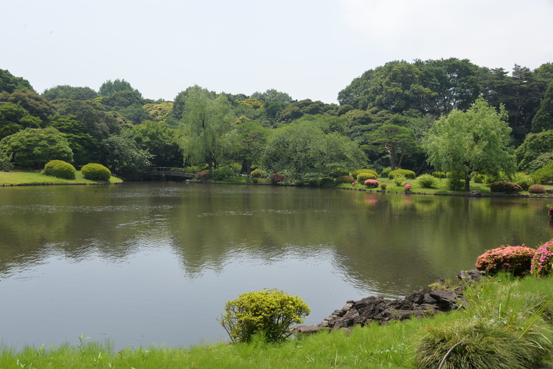 shinjuku_park_8jun16f.jpg