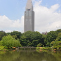 shinjuku park 8jun16h