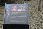 Nikko