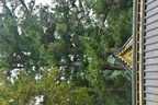 nikko 9jun16n