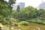 hibiya park 10jun16b