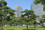 imperial park 10jun16b