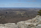 shennondoah view bears den 3035 5mar21