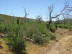 mount laguna san diego 4472 21jul11