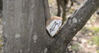 stone thaiss park trail 3441 21mar21