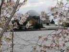 jefferson memorial 3521 1apr21