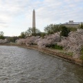 tidal basin dc 3532 1apr21