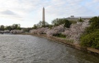 tidal basin dc 3532 1apr21
