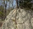 great falls virginia 4272 5apr21