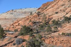zion 29dec14c