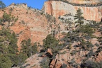 zion national park 0339 29dec14