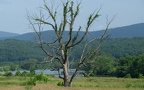 bentonville virginia 6099 20jun21