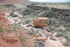 snow canyon 0474 30dec14